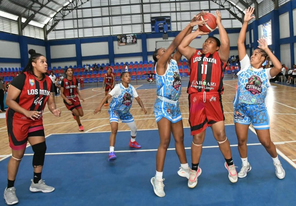 BASKET-6